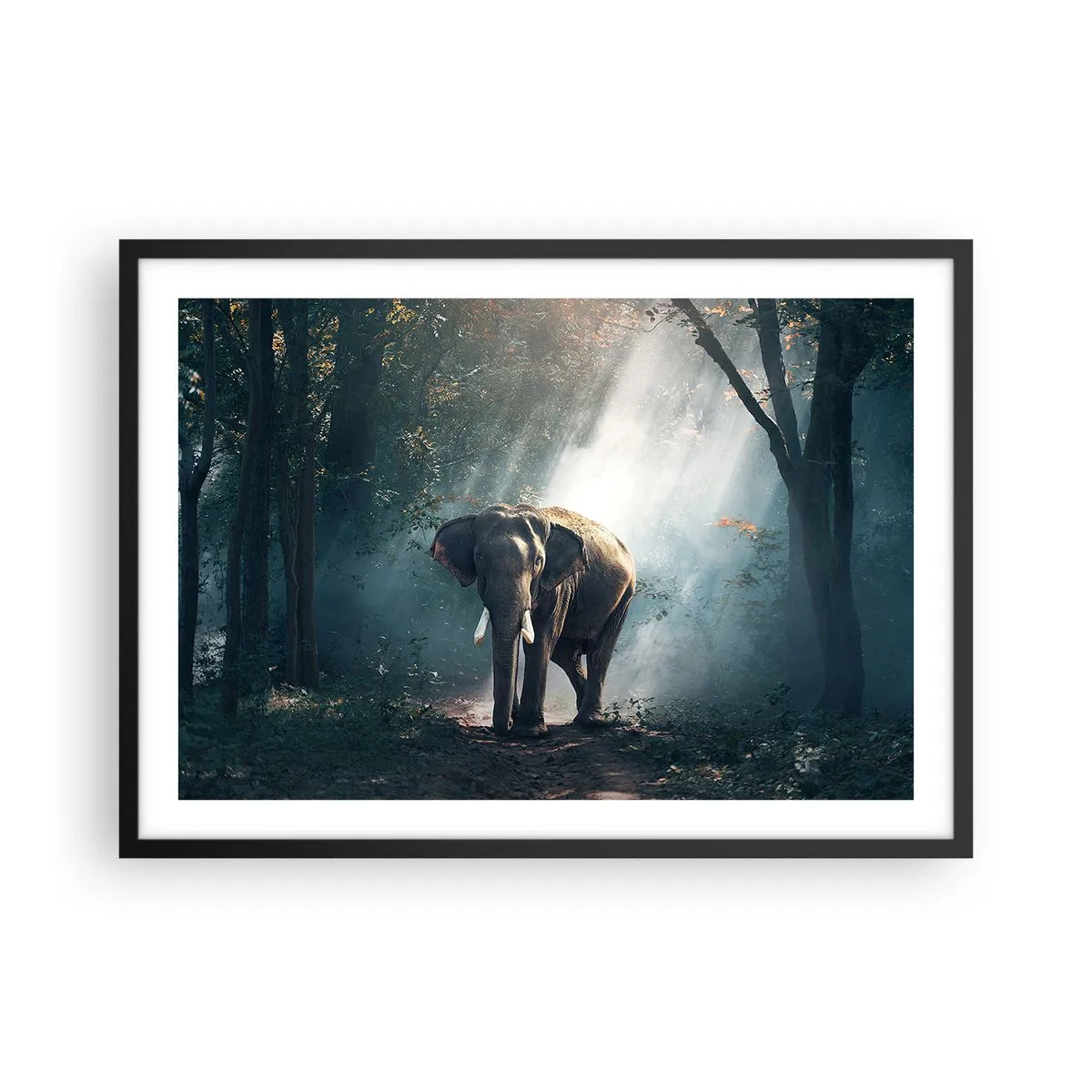 Poster in cornice nera - Elefante nella luce della foresta - 70x50cm - Tranquilla passeggiata - Decorazione murale moderna per soggiorno e camera da letto ARTTOR