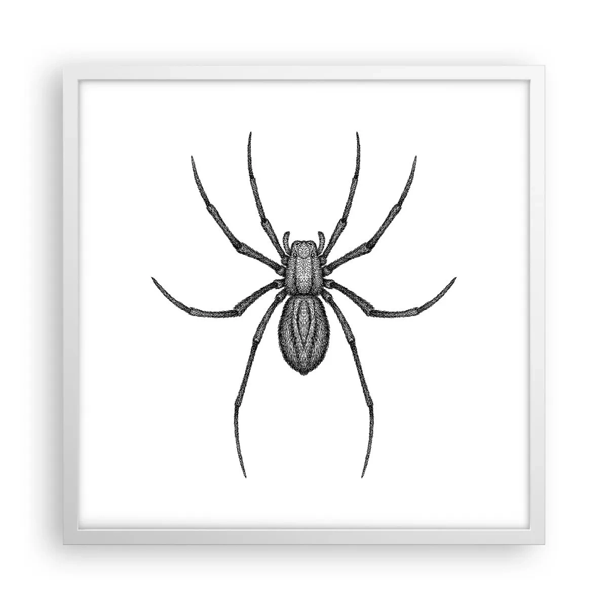 Poster in cornice bianca - Precisione inquietante - 50x50 cm