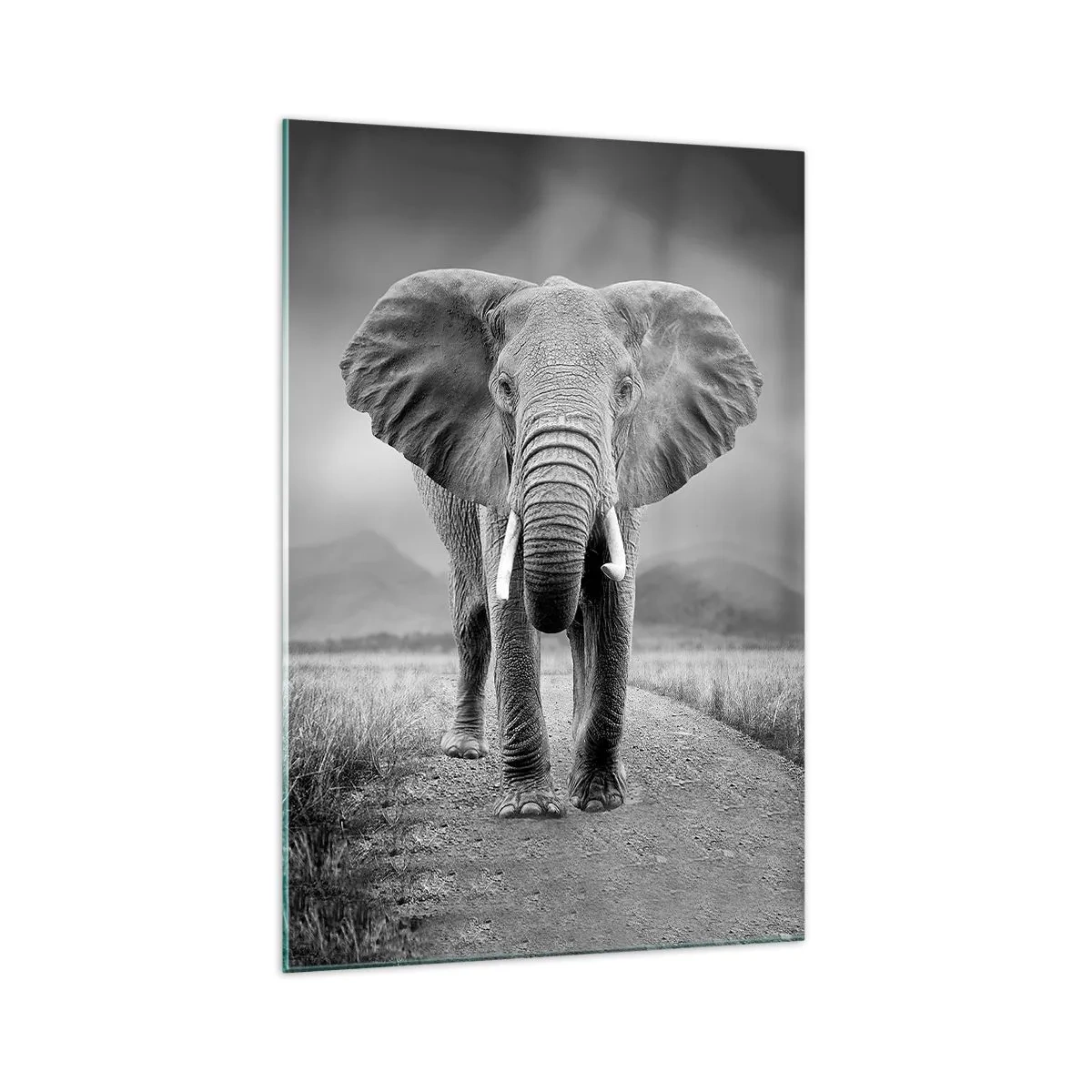 Quadro su vetro - Un possente elefante nella savana in toni monocromatici - 70x100cm - Il padrone di casa dà il benvenuto - Decorazione murale moderna per soggiorno e camera da letto ARTTOR