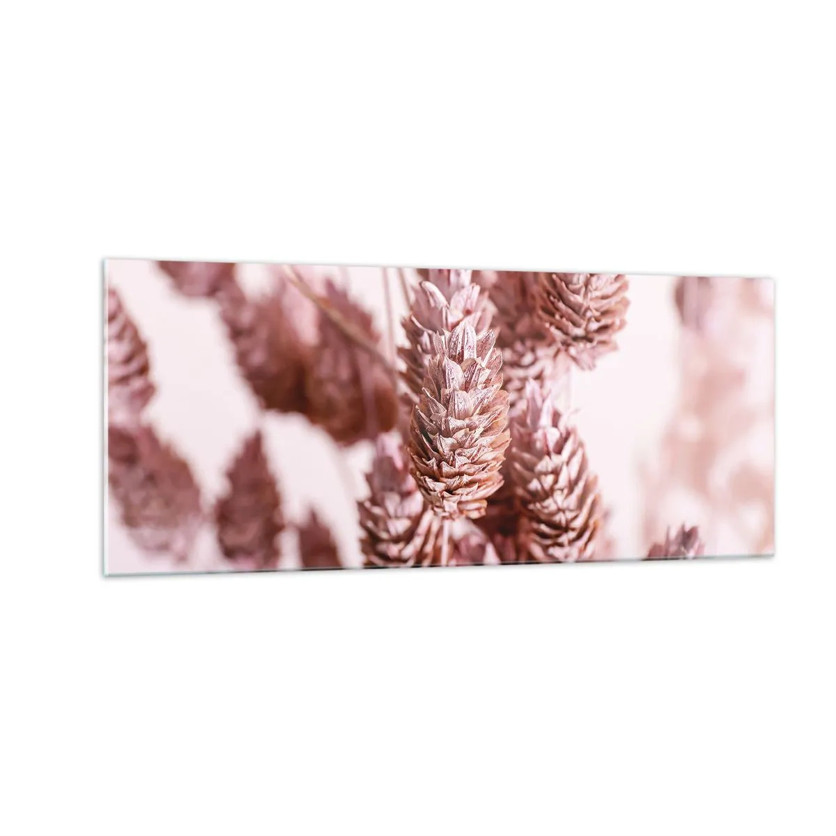 Quadro su vetro - A prima vista poco appariscenti - 100x40 cm