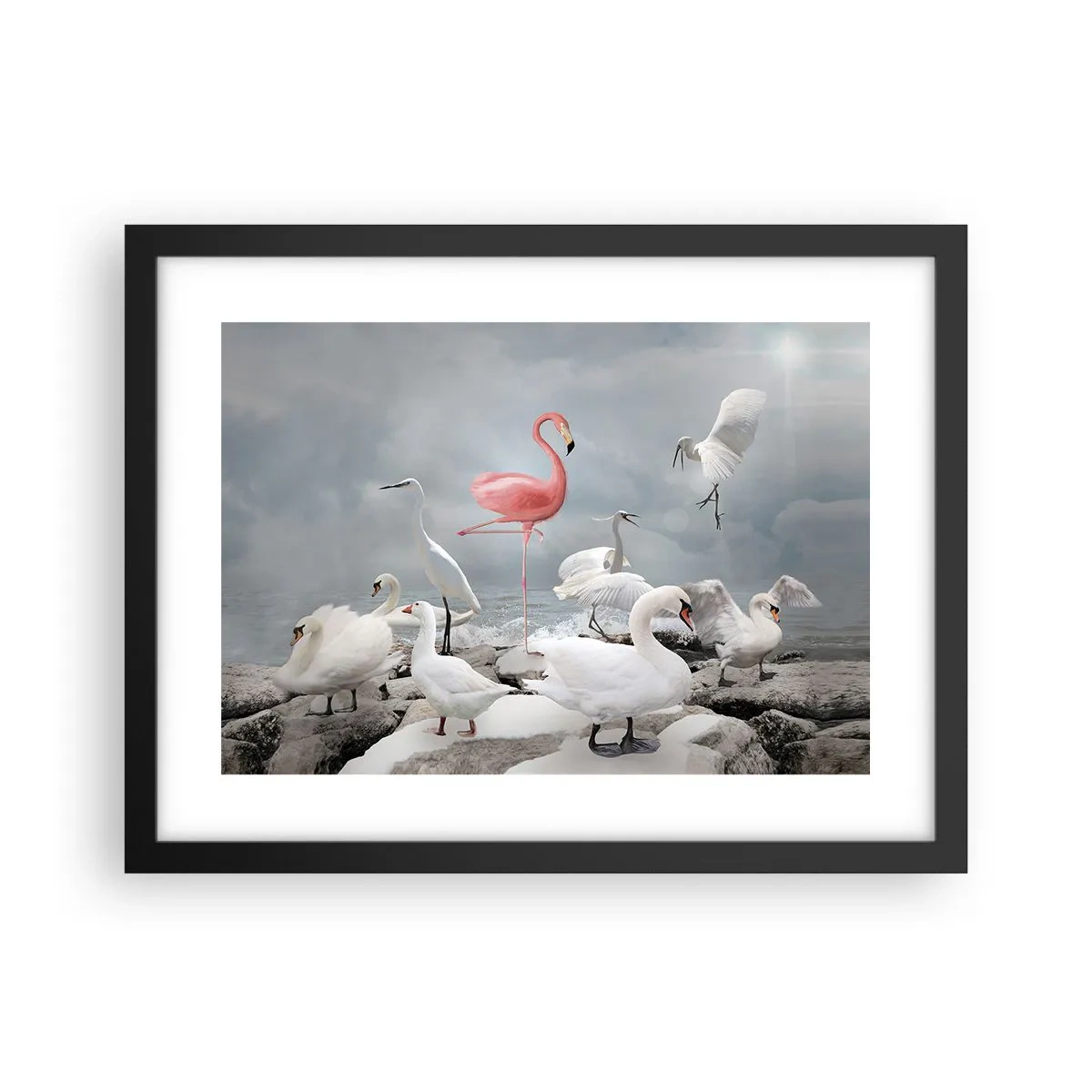 Poster in cornice nera - Come sono arrivato qui? - 40x30 cm