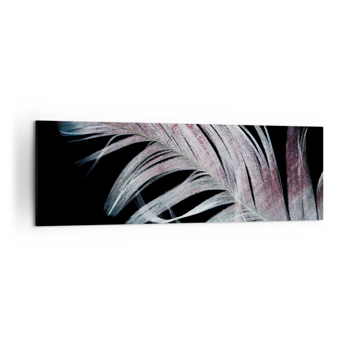 Quadro su tela - Stampe su Tela - Una piuma delicata su uno sfondo nero in un approccio artistico - 160x50cm - Pensa al tocco - Decorazione murale moderna per soggiorno e camera da letto ARTTOR