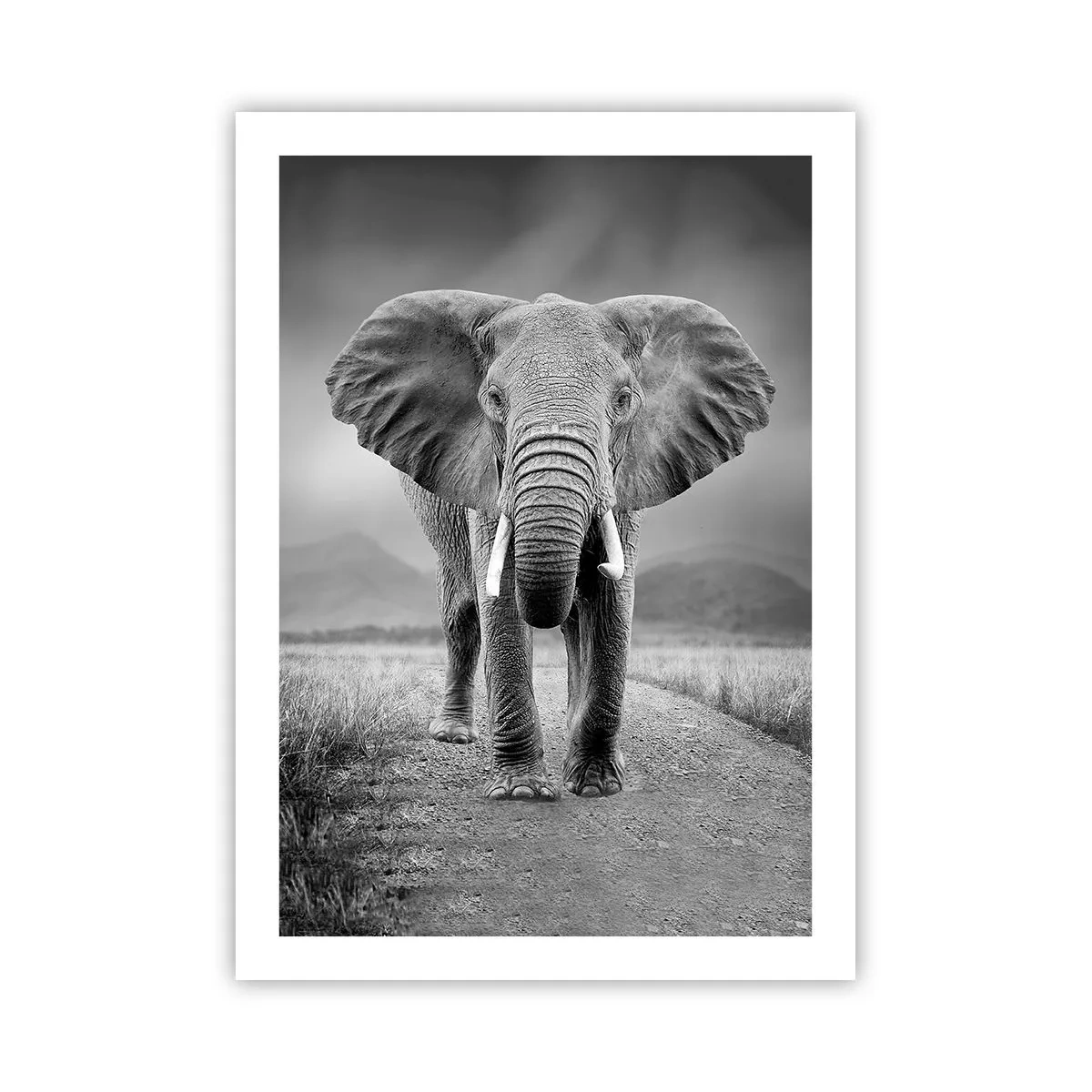 Poster - Un elefante contro un paesaggio africano in bianco e nero - 50x70cm - Il padrone di casa dà il benvenuto - Decorazione murale moderna per soggiorno e camera da letto ARTTOR