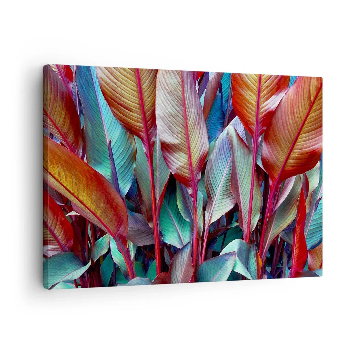 Quadro su tela - Stampe su Tela - Foglie colorate di piante tropicali nel folto - 70x50cm - Selva colorata - Decorazione murale moderna per soggiorno e camera da letto ARTTOR