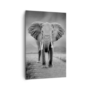 Quadro su tela - Stampe su Tela - Un possente elefante nella savana in toni monocromatici - 80x120cm - Il padrone di casa dà il benvenuto - Decorazione murale moderna per soggiorno e camera da letto ARTTOR