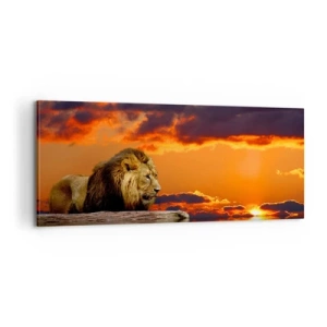 Quadro su tela - Stampe su Tela - Il re della natura - 100x40 cm