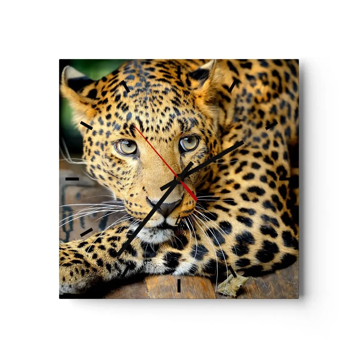 Orologio da parete - Orologio in Vetro - Ritratto di un leopardo nel suo ambiente naturale - 30x30cm - Non temere, avvicinati - Decorazione murale moderna per soggiorno e camera da letto ARTTOR
