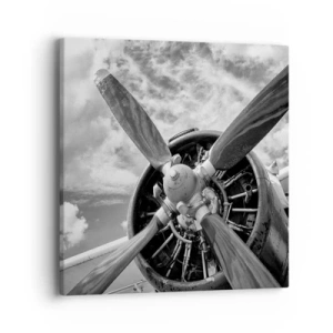 Quadro su tela - Stampe su Tela - Il dominatore dell'aria - 40x40 cm