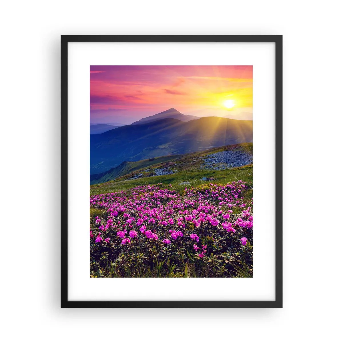 Poster in cornice nera - Odore di mugo e profumo di erbe - 40x50 cm