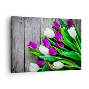 Quadro su tela - Stampe su Tela - Un bouquet di tulipani viola e bianchi su uno sfondo di legno - 70x50cm - Nella festa della primavera - Decorazione murale moderna per soggiorno e camera da letto ARTTOR