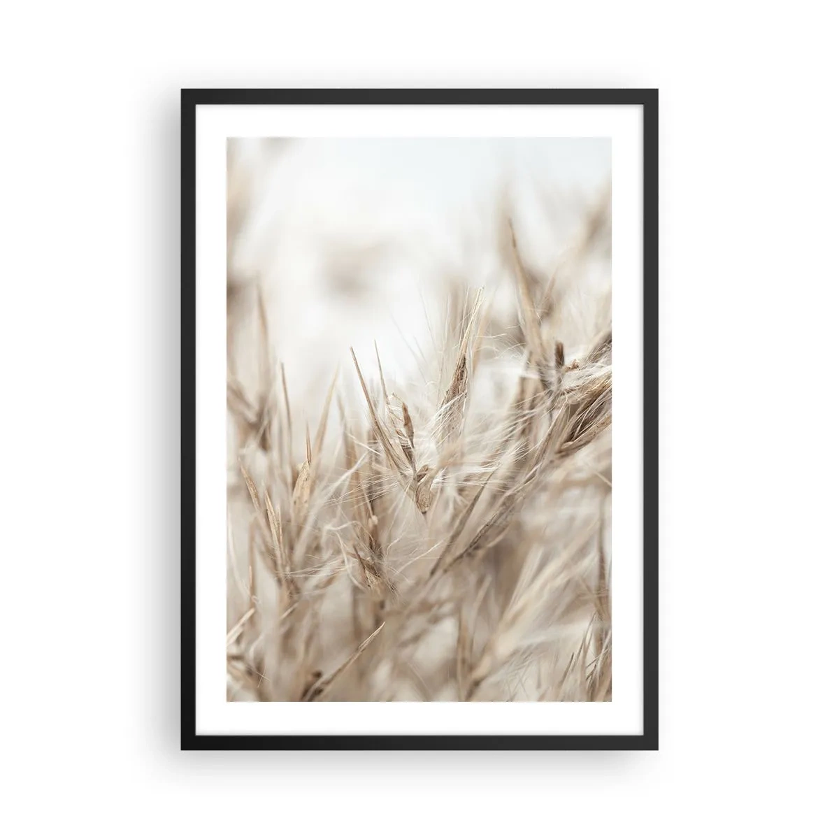 Poster in cornice nera - Delicati spuntoni d'erba color beige - 50x70cm - Prato e vento - Decorazione murale moderna per soggiorno e camera da letto ARTTOR