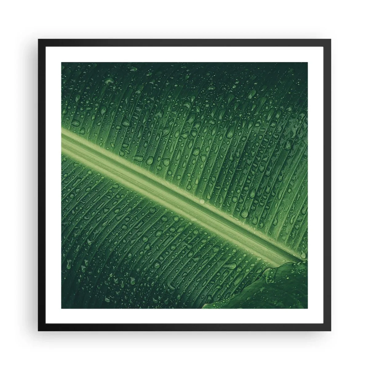 Poster in cornice nera - La struttura del verde - 60x60 cm