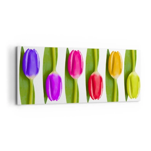 Quadro su tela - Stampe su Tela - Composizione arcobaleno - 100x40 cm