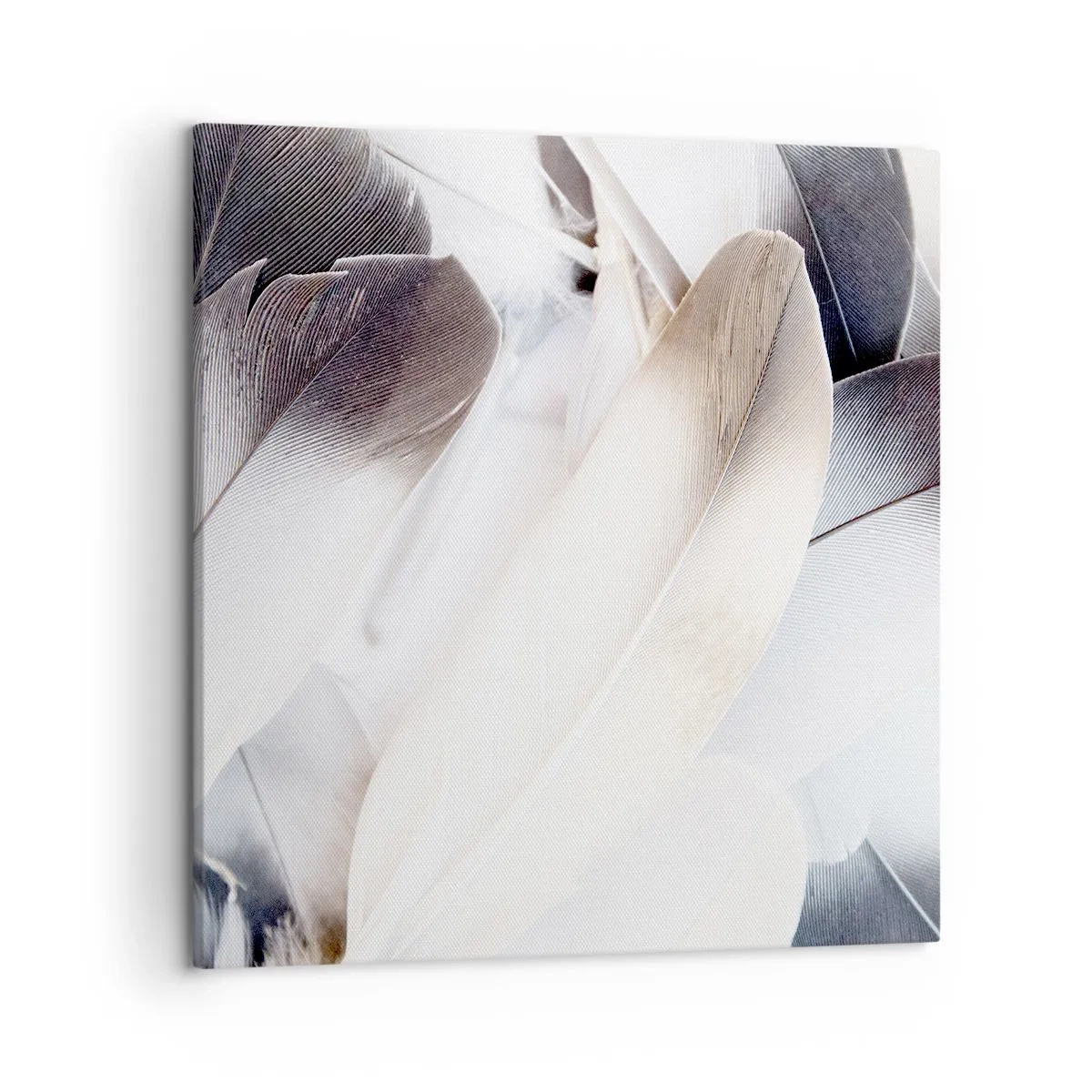 Quadro su tela - Stampe su Tela - Quasi angeliche - 50x50 cm