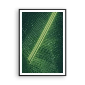 Poster in cornice nera - La struttura del verde - 70x100 cm