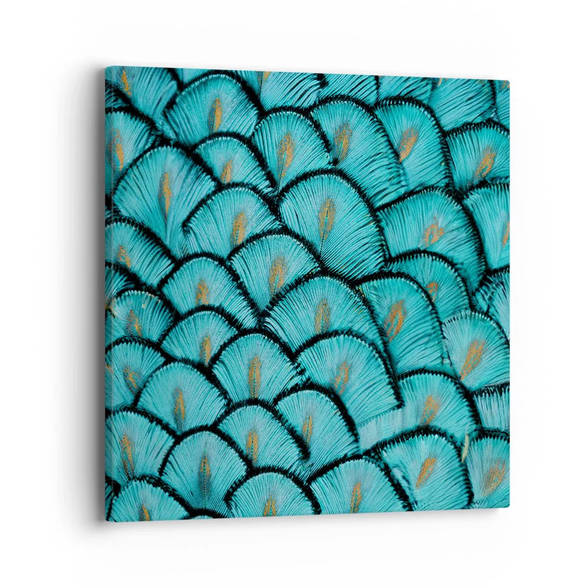 Quadro su tela - Stampe su Tela - La grande festa delle piume - 40x40 cm
