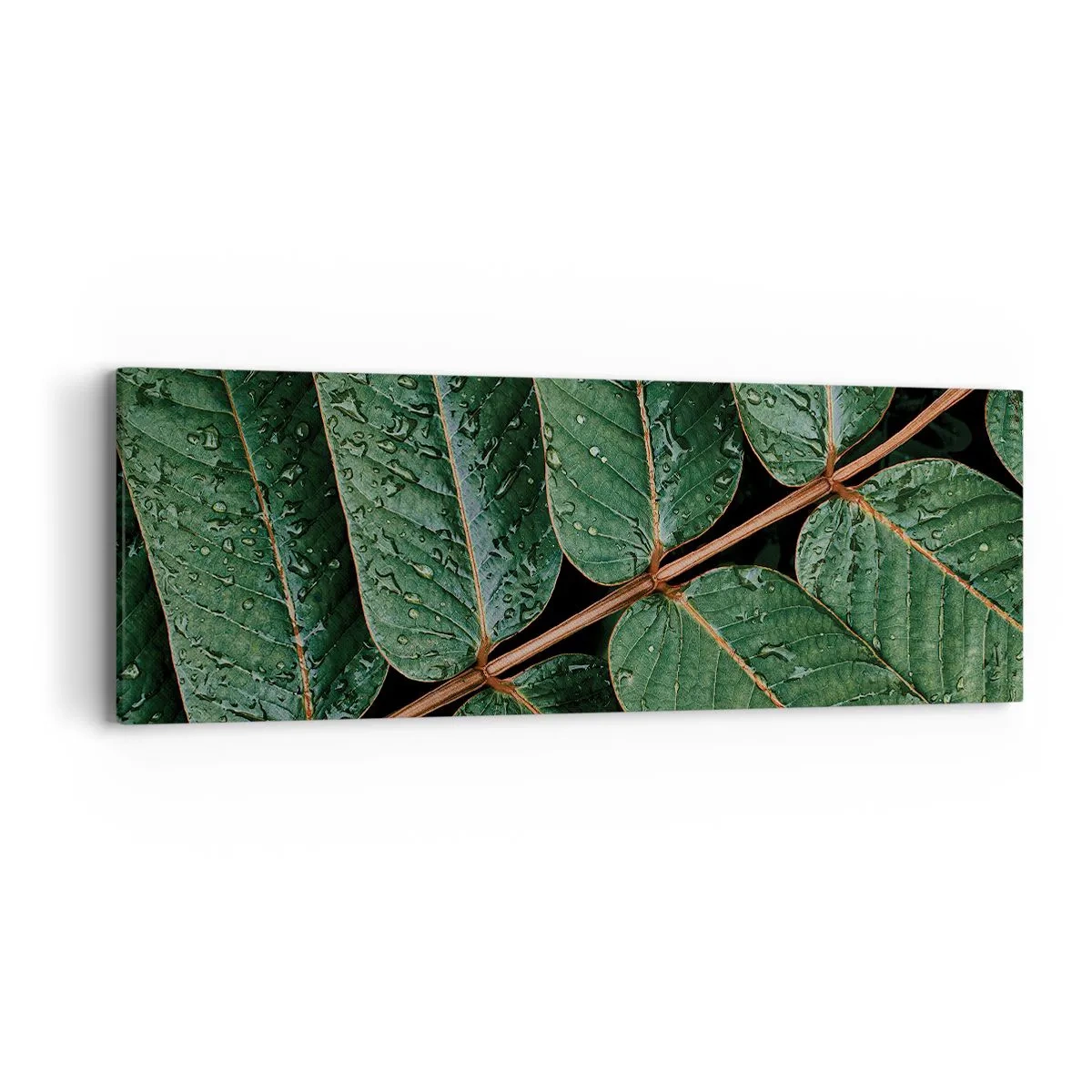 Quadro su tela - Stampe su Tela - Al ritmo verde - 90x30 cm