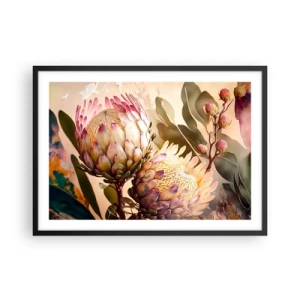 Poster in cornice nera - Fiori di protea colorati su uno sfondo delicato - 70x50cm - Tenero abbraccio - Decorazione murale moderna per soggiorno e camera da letto ARTTOR