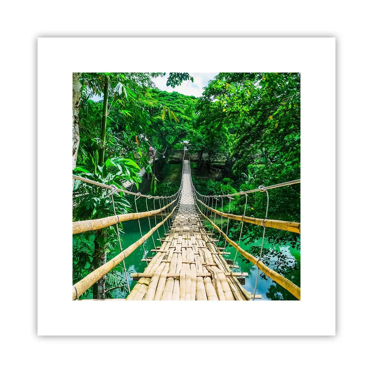Poster - Ponte sospeso sopra il verde - 30x30 cm