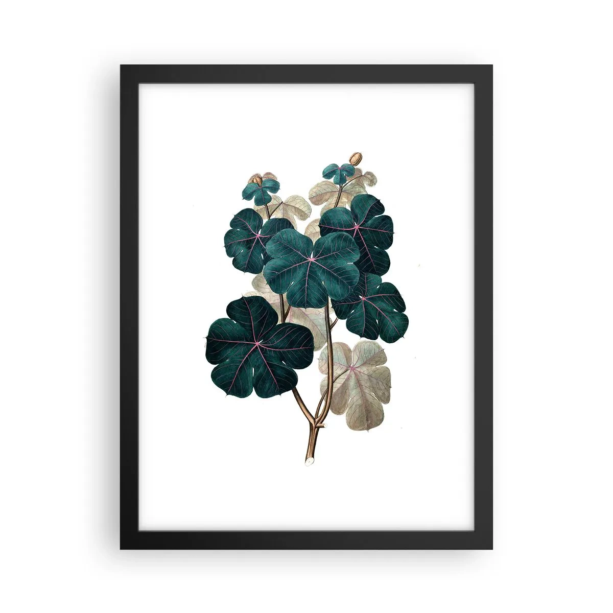Poster in cornice nera - Dal vecchio erbario - 30x40 cm