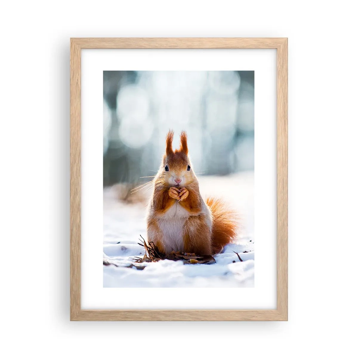 Poster in cornice rovere chiaro - Che cosa guardi? - 30x40 cm