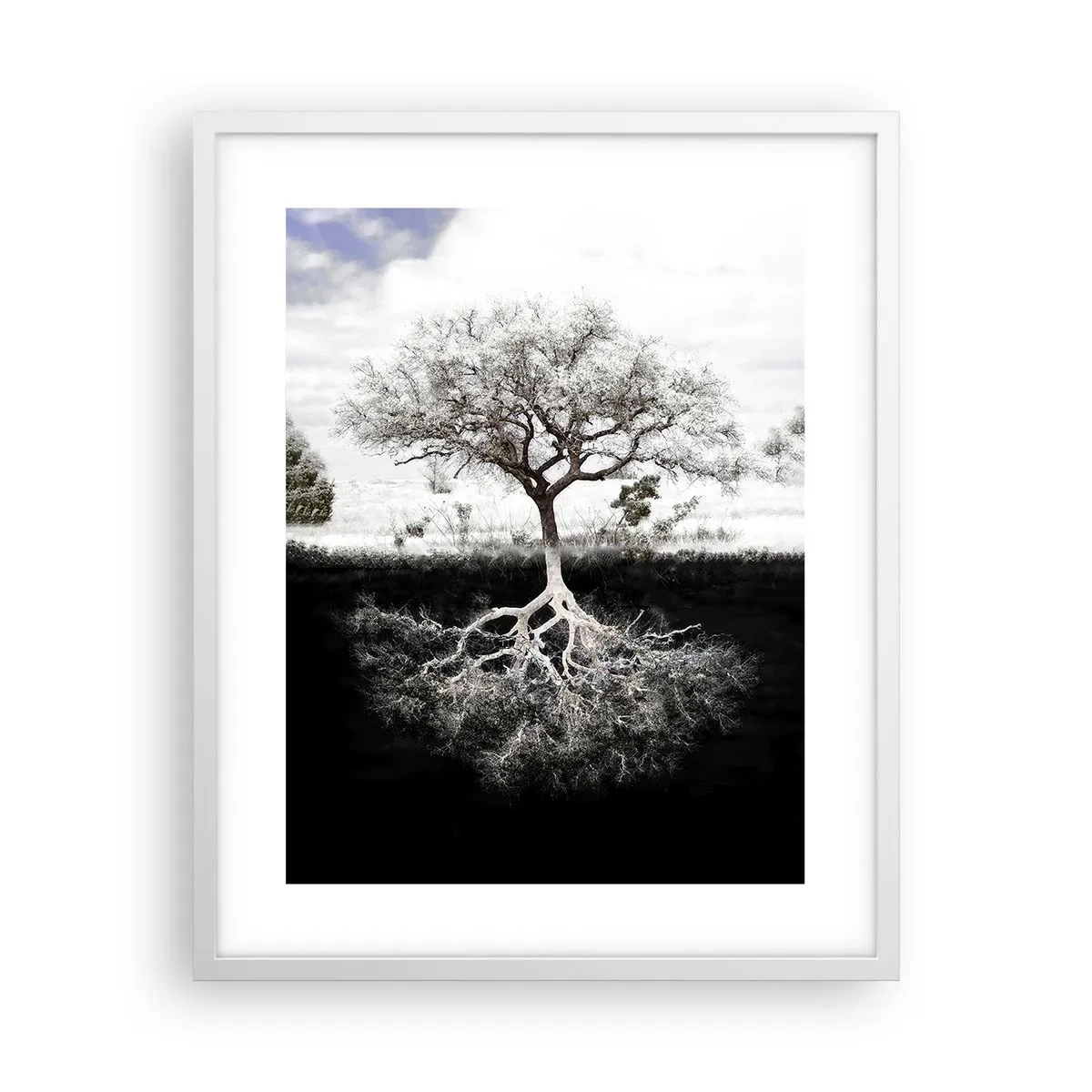 Poster in cornice bianca - La scoperta della natura del mondo - 40x50 cm