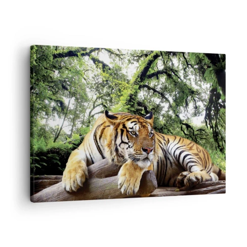 Quadro su tela - Stampe su Tela - Una tigre che riposa in una foresta tropicale - 70x50cm - Con espressioni di stima - Decorazione murale moderna per soggiorno e camera da letto ARTTOR