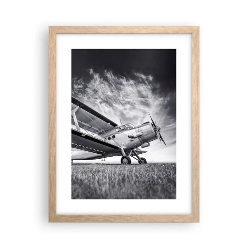 Poster in cornice rovere chiaro - Giramondo alato - 30x40 cm