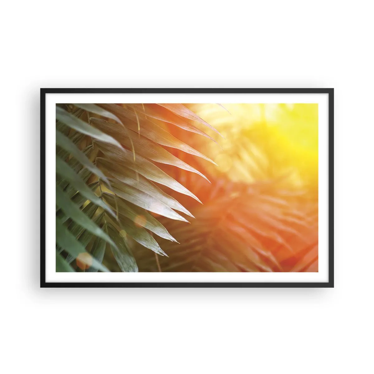 Poster in cornice nera - L'alba nella giungla - 91x61 cm