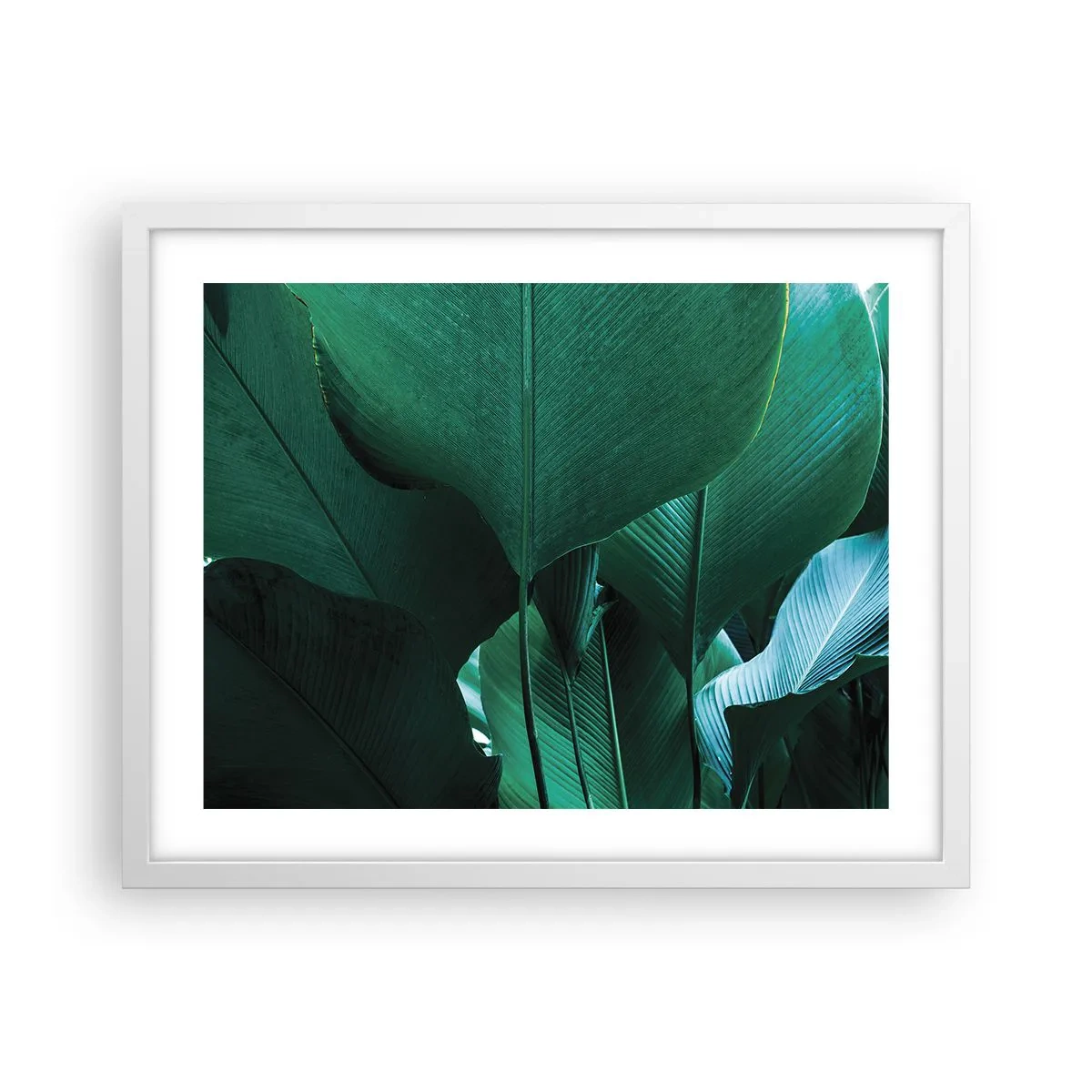 Poster in cornice bianca - Verso la luce - 50x40 cm