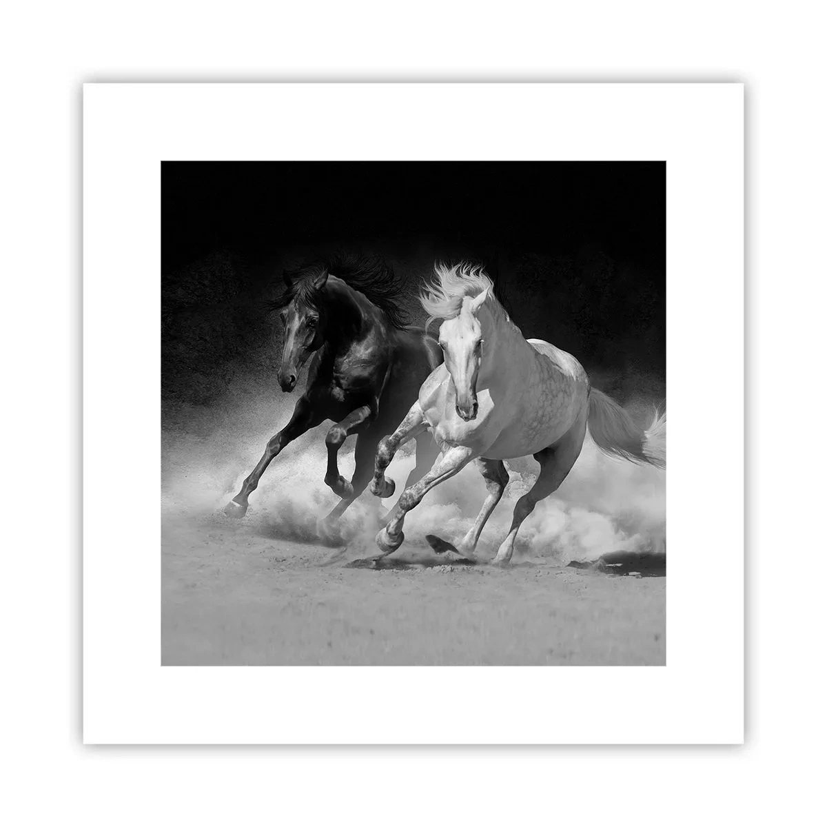 Poster - Il galoppo della libertà - 30x30 cm