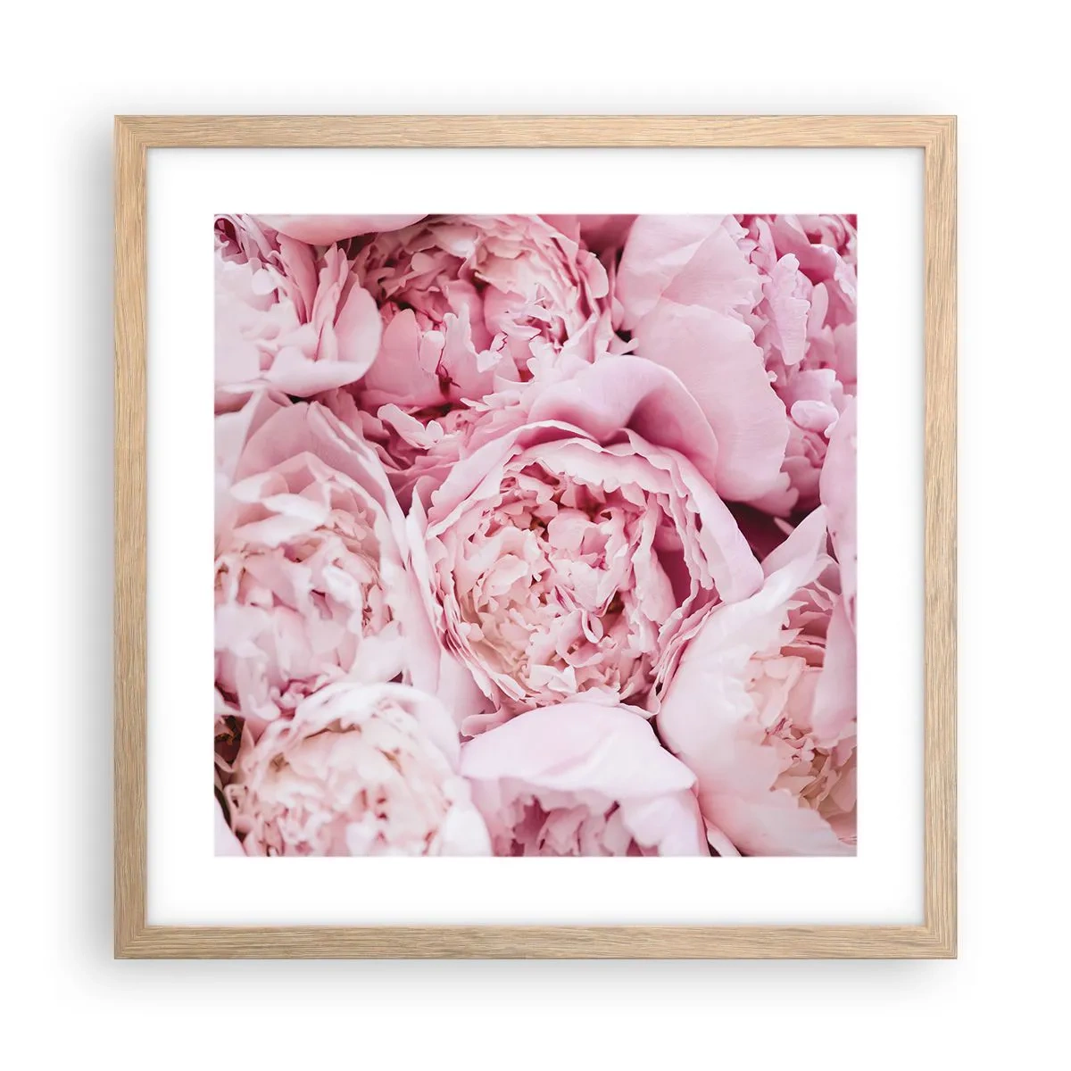 Poster in cornice rovere chiaro - Morbide e profumate - 40x40 cm