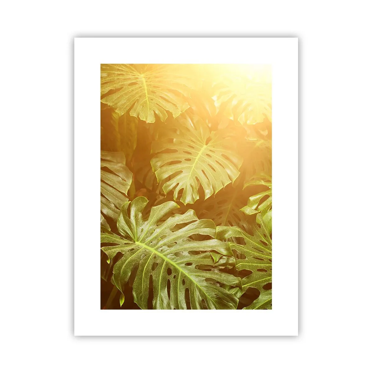 Poster - Entrando nel verde... - 30x40 cm