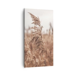 Quadro su tela - Stampe su Tela - Nei campi è già autunno - 55x100 cm