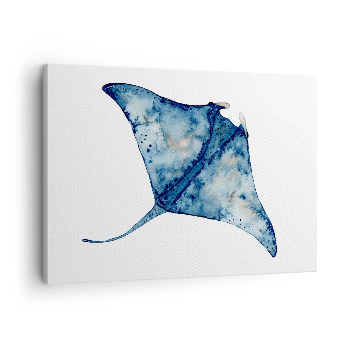 Quadro su tela - Stampe su Tela - Razza blu in stile acquerello su sfondo bianco - 70x50cm - Vita nel blu - Decorazione murale moderna per soggiorno e camera da letto ARTTOR