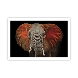 Poster - Sono selvaggio e tu? - 91x61 cm