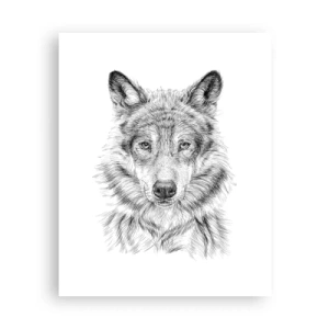 Poster - Condottiero nato - 40x50 cm