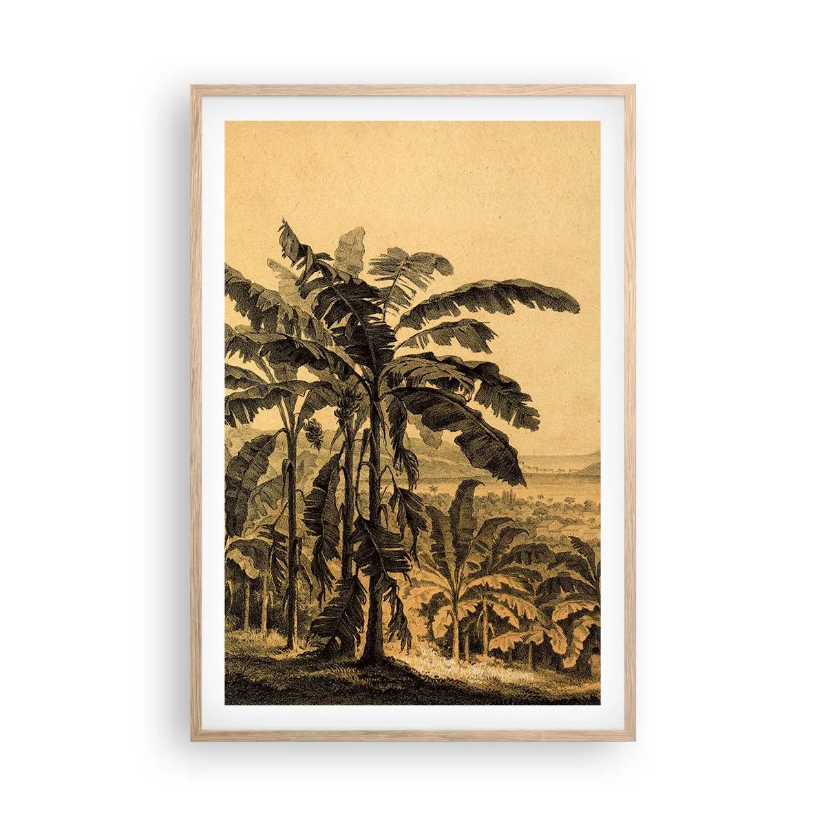 Poster in cornice rovere chiaro - Nel clima coloniale - 61x91 cm