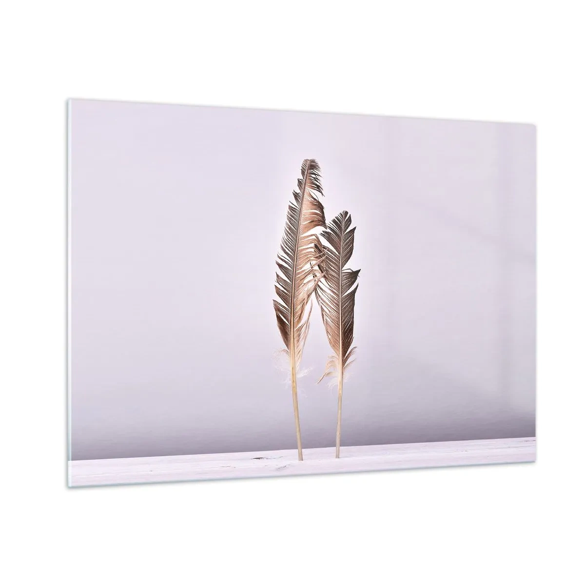 Quadro su vetro - Due piume delicate su uno sfondo chiaro - 100x70cm - Contro il nulla - Decorazione murale moderna per soggiorno e camera da letto ARTTOR
