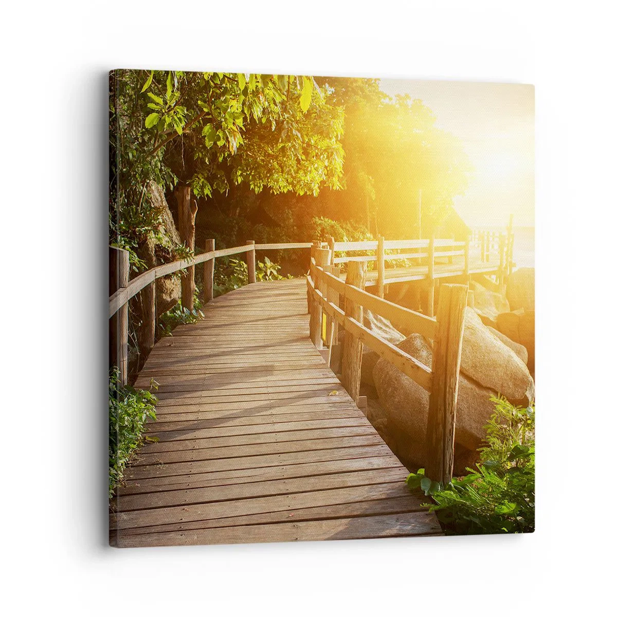 Quadro su tela - Stampe su Tela - Altra curva, altre meraviglie - 30x30 cm