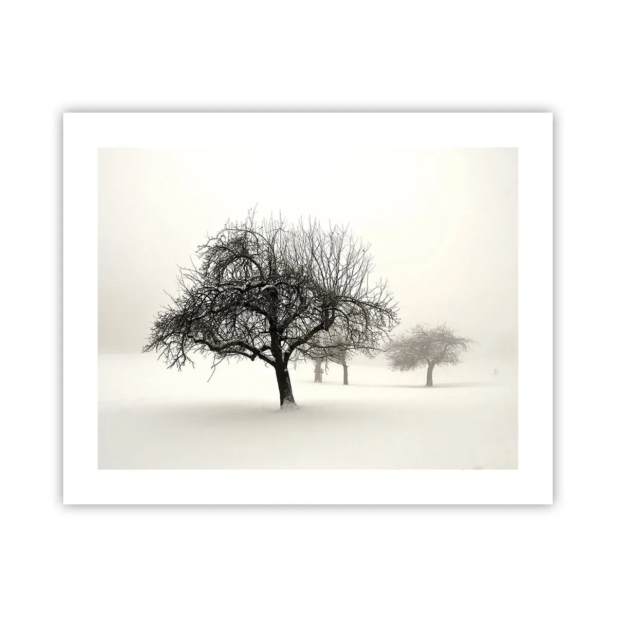 Poster - Sogno invernale - 50x40 cm