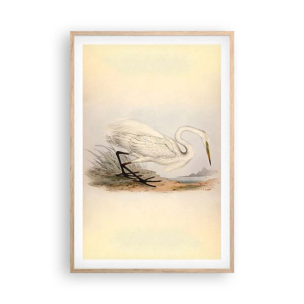 Poster in cornice rovere chiaro - La signora nel canneto - 61x91 cm