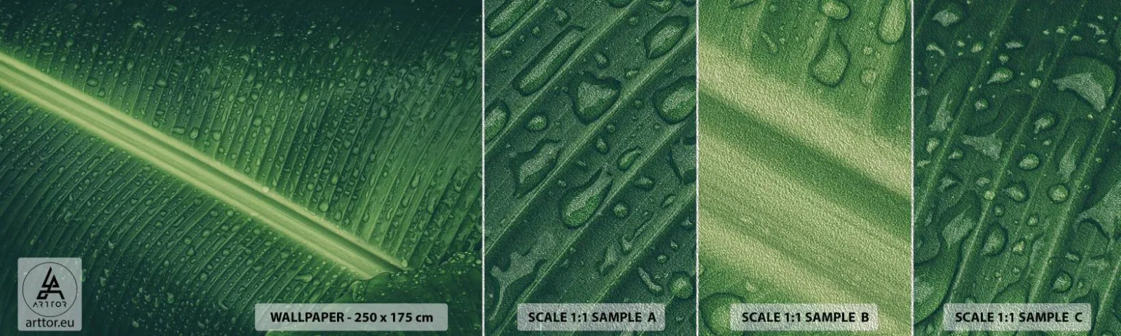 Campione di Fotomurale Premium Sand - La struttura del verde - Foglia verde, Pianta tropicale, Pezzo - 100x30 cm