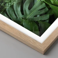 Rovere chiaro