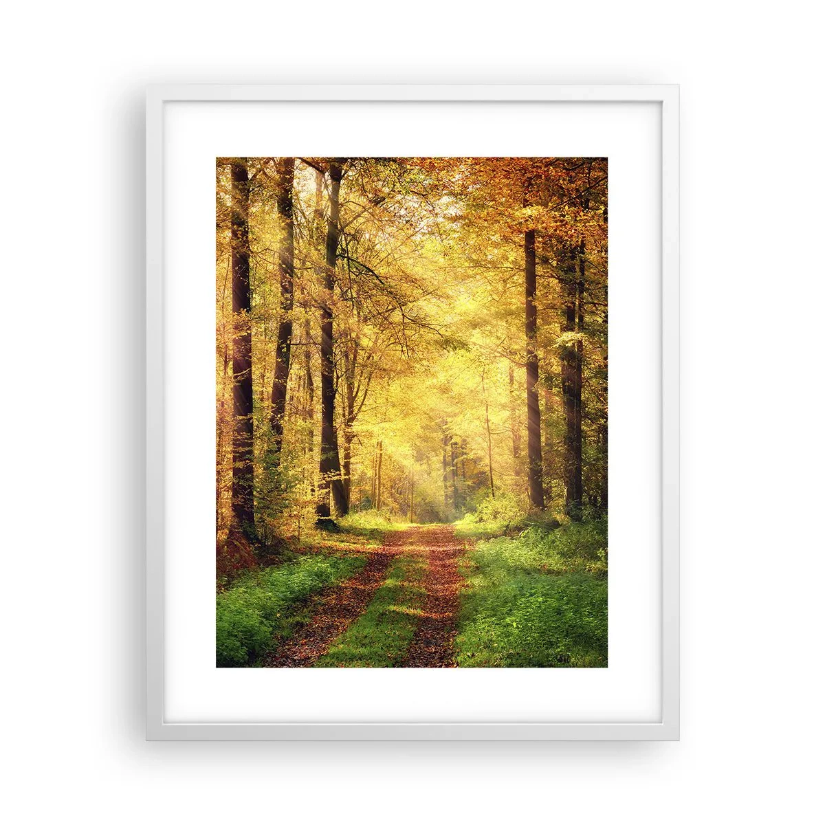 Poster in cornice bianca - Il silenzio d'oro del bosco - 40x50 cm