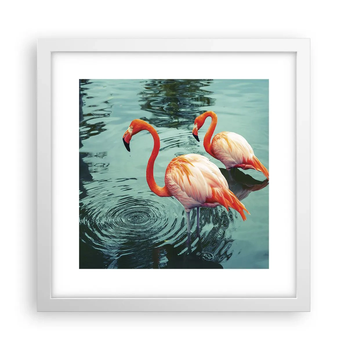 Poster in cornice bianca - Adesso siamo di moda - 30x30 cm