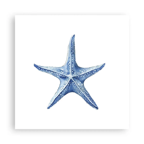 Poster - Stella marina - 40x40 cm