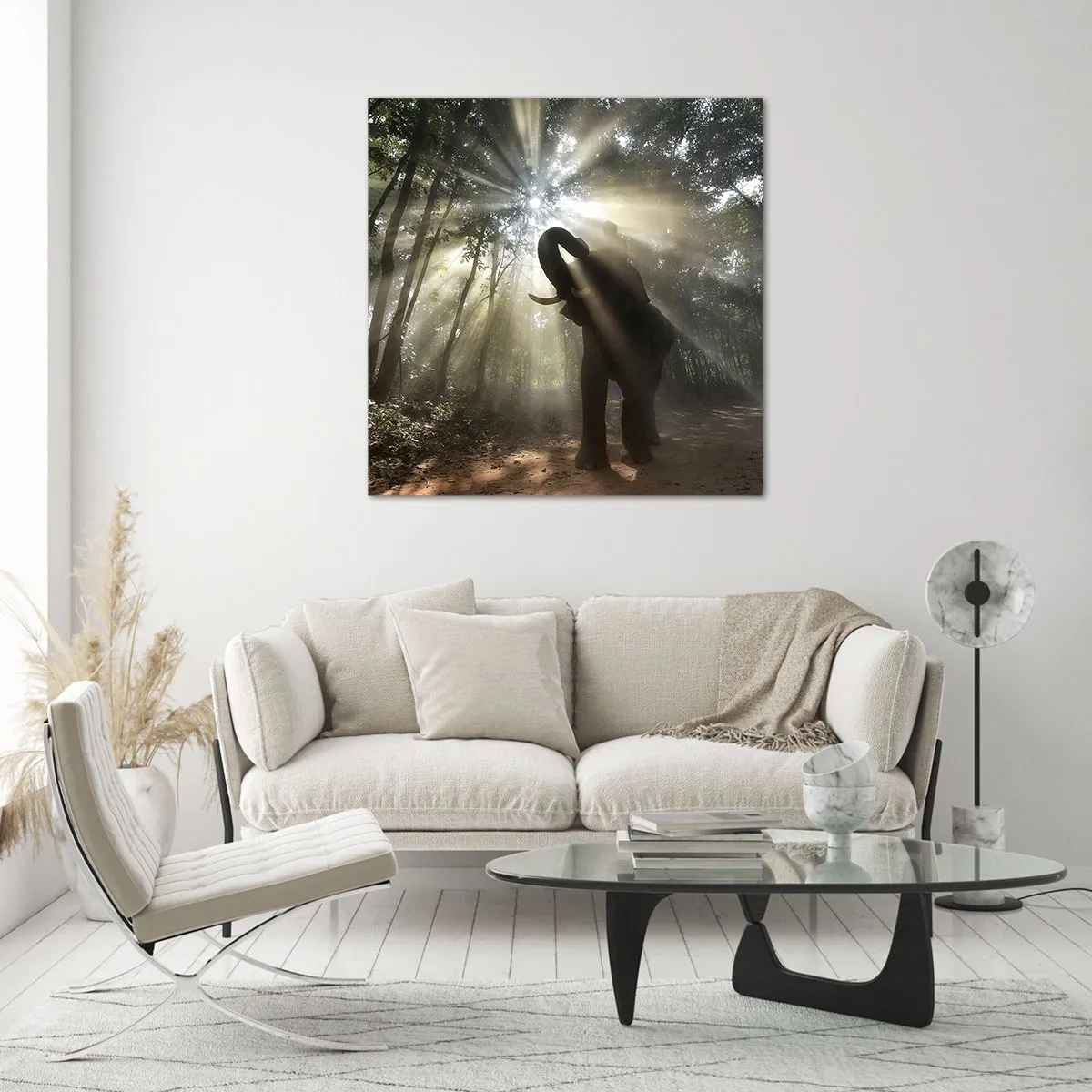 Quadro su vetro - Sotto una stella fortunata - 70x70 cm