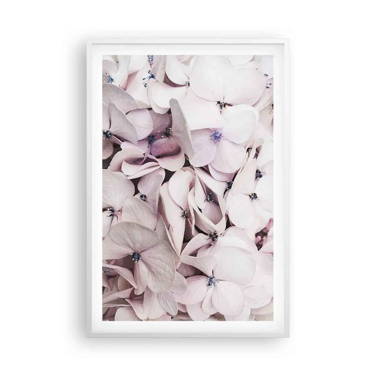 Poster in cornice bianca - Un'alluvione di fiori - 61x91 cm