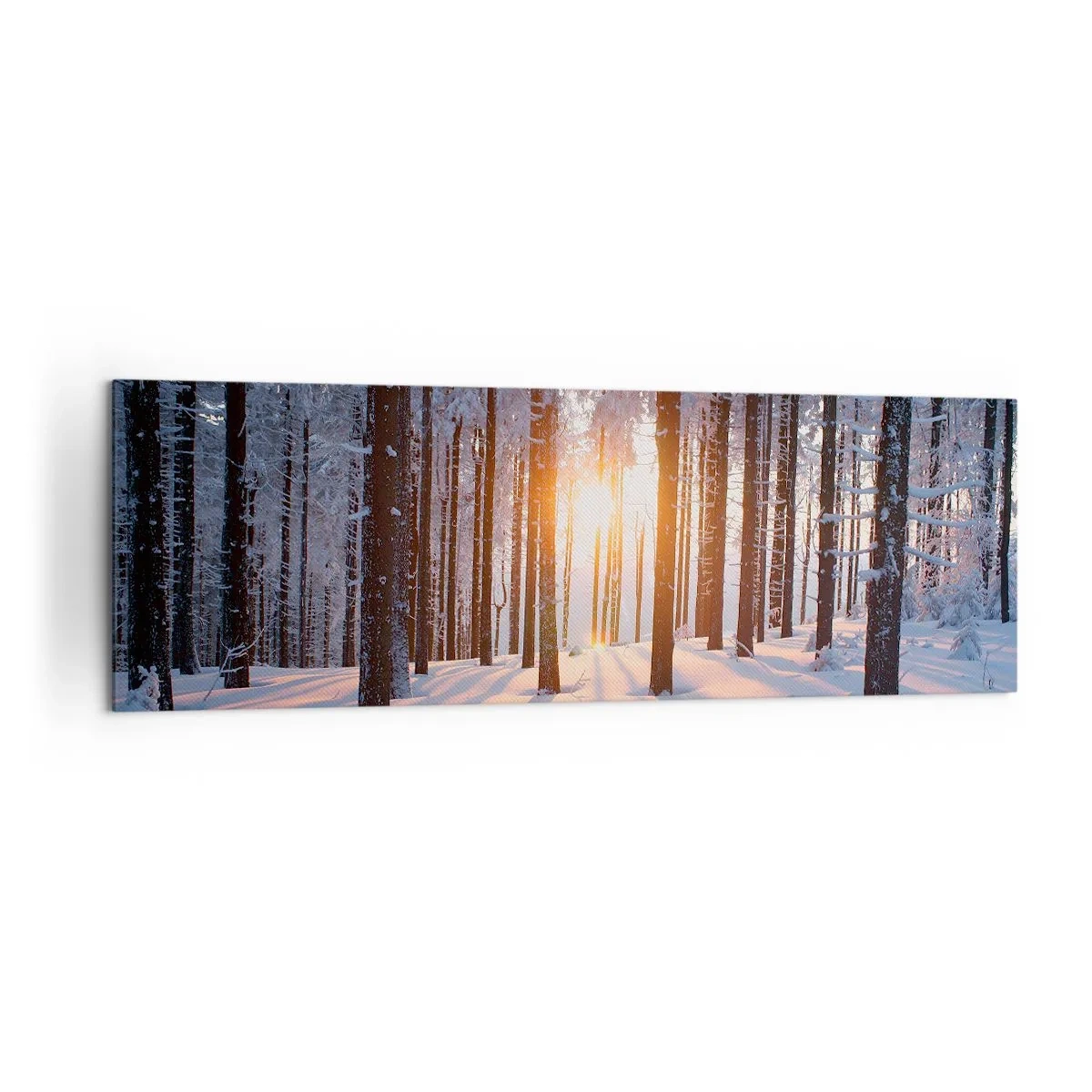 Quadro su tela - Stampe su Tela - Foresta invernale illuminata dai raggi del sole - 160x50cm - Decisamente nero su bianco - Decorazione murale moderna per soggiorno e camera da letto ARTTOR